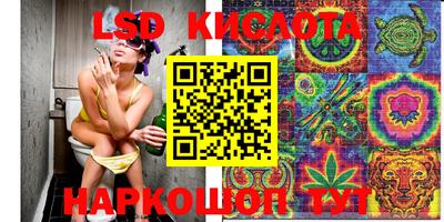 прущие крисы Славгород