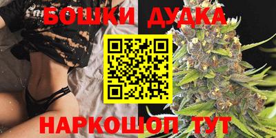 прущие крисы Славгород