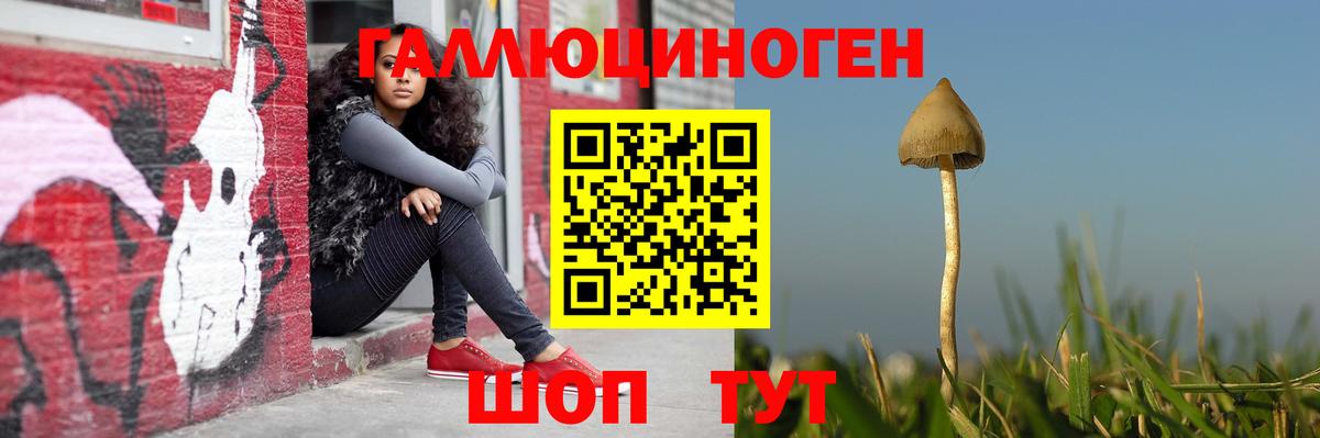 Псилоцибиновые грибы MAGIC MUSHROOMS Павлово
